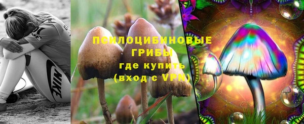 герыч Богданович