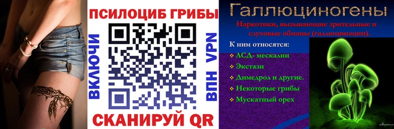 Псилоцибиновые грибы Psilocybe  Богородск 