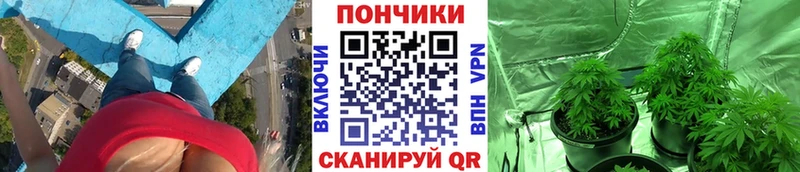 Конопля LSD WEED Богородск